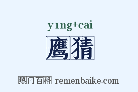 鹰猜是什么意思的图片